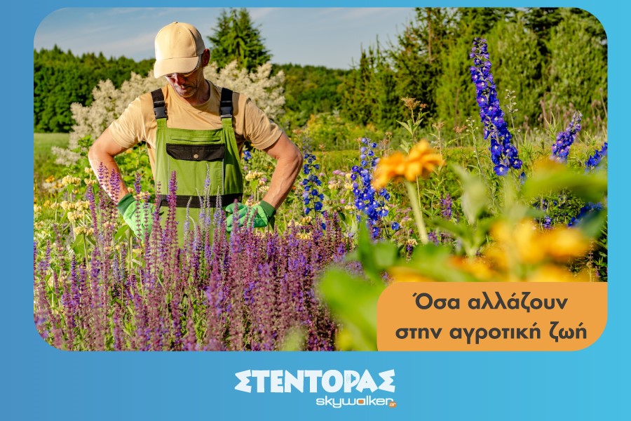 ΑγροΝεα 5-10-2026
