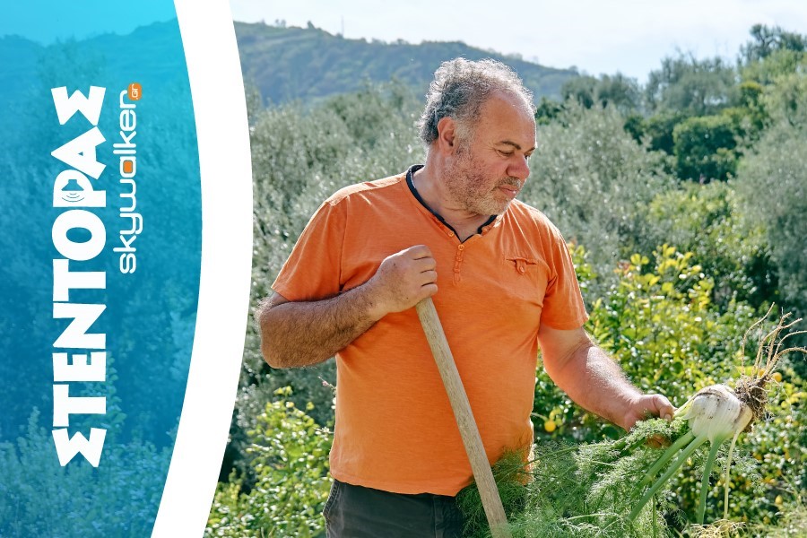 ΑγροΝεα 7-9-2026