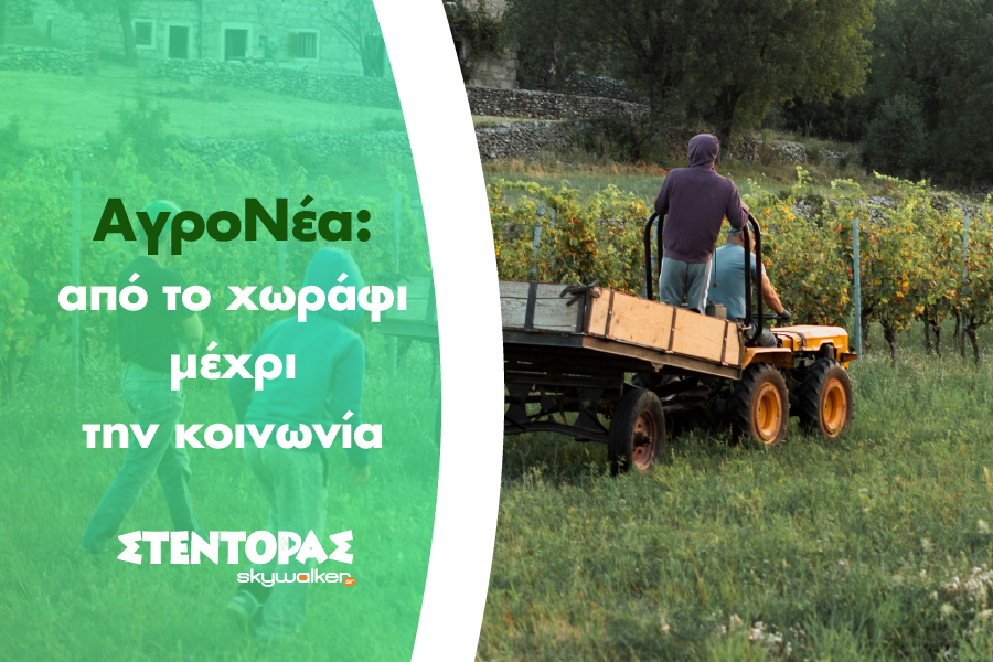 ΑγροΝέα