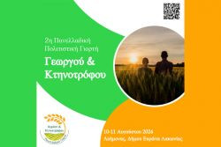 Περισσότερα...