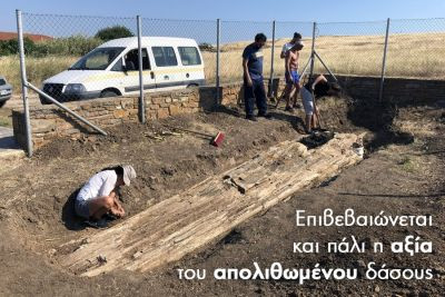 Περισσότερα...