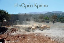 Περισσότερα...