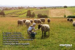 Περισσότερα...