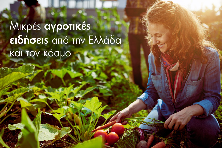 agrotika-2805.jpg