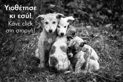 Περισσότερα...