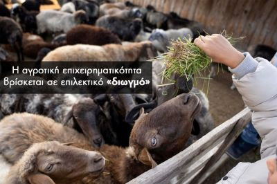 Περισσότερα...