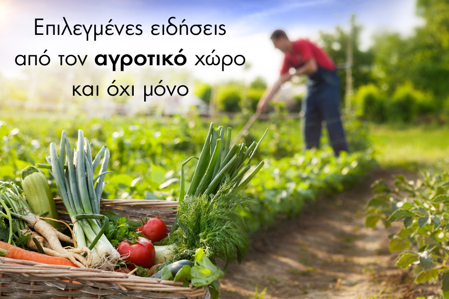 agrotika_1107.jpg