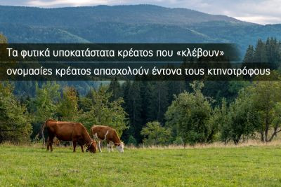 Περισσότερα...