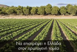 Περισσότερα...