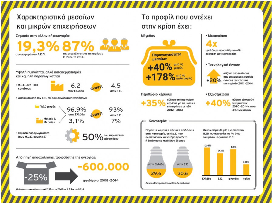 to topio twn mesaiwn kai mikrwn epixeirhsewn sthn Ellada Infographic