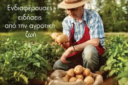 Περισσότερα...