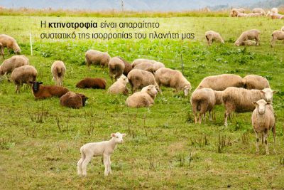 Περισσότερα...