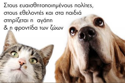 Περισσότερα...