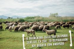 Περισσότερα...