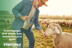 Περισσότερα...