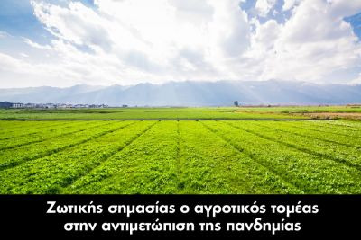 Περισσότερα...