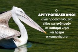 Περισσότερα...