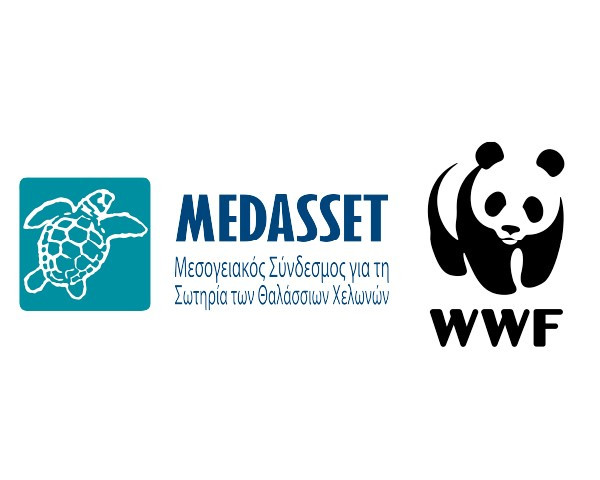 Medasset.jpg
