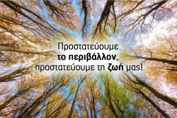 Περισσότερα...