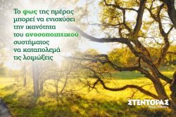 Περισσότερα...