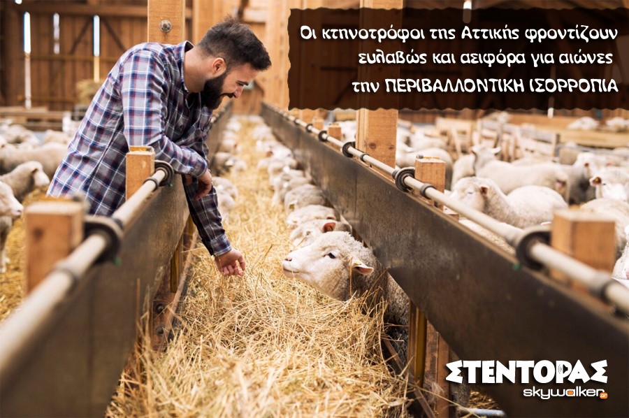 «Μαύρη Παρασκευή»…και για την…